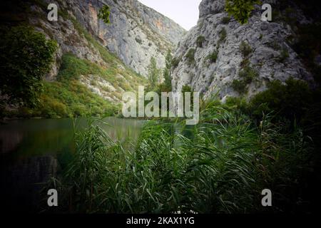 Belles falaises rocheuses et sommets de montagne, couvertes de forêt dense près de la ville d'omis, Croatie dans le canyon de la rivière Cetina Banque D'Images