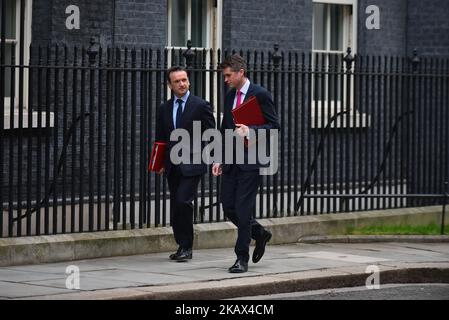 Alun Cairns (L), secrétaire britannique au pays de Galles, et Gavin Williamson, secrétaire britannique à la Défense, arrivent au 10 Downing Street, dans le centre de Londres, sur 13 mars 2018, pour assister à la réunion hebdomadaire du Cabinet. (Photo par Alberto Pezzali/NurPhoto) Banque D'Images