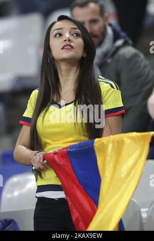 Supporter de la Colombie lors du match de football amical entre la France et la Colombie au Stade de France, à Saint-Denis, à la périphérie de Paris, sur 23 mars 2018. (Photo par Elyxandro Cegarra/NurPhoto) Banque D'Images