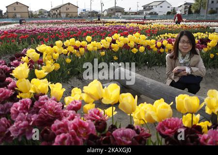 Les visiteurs apprécient les tulipes en fleurs au parc de Tokyo, jeudi, 12 avril 2018. (Photo de Hitoshi Yamada/NurPhoto) Banque D'Images
