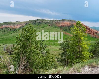 Falaise de grès rouge et plaines herbeuses vallonnées de la Chief Joseph Scenic Highway, Wyoming, États-Unis, juillet 2019 Banque D'Images