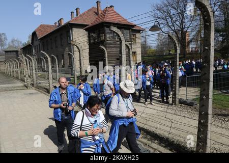 Marche des participants vivants avec des drapeaux israéliens (Israël) sont vus dans le camp de la mort d'Auschwitz i à Oswiecim, Pologne le 12 avril 2018 se tenant chaque année à Yom Hashoah - jour de la mémoire de l'Holocauste - la marche des vivants est une promenade de 3 kilomètres d'Auschwitz à Birkenau en hommage à toutes les victimes de l'Holocauste. (Photo de Michal Fludra/NurPhoto) Banque D'Images