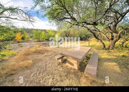 Terrain de camping entouré d'arbres au parc national de Sabino Canyon à Tucson, Arizona. Il y a un ruisseau et une pente avec des cactus à l'arrière et un béton di Banque D'Images