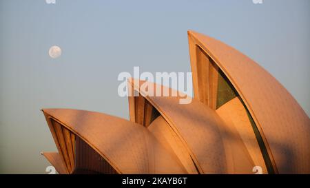 Une belle photo de l'opéra historique de Sydney, prise sous le pont du port en Australie Banque D'Images