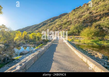 Sentier de randonnée le long d'une crique dans la zone de loisirs de Sabino Canyon en Arizona Banque D'Images