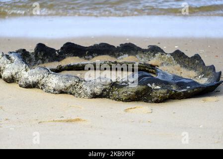 Un pneu de camion déchiré se trouve sur une plage côté baie à Deal Island, Maryland, sur 2 septembre 2018. (Photo de Bastiaan Slabbers/NurPhoto) Banque D'Images