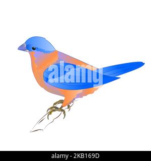 Petit songbirdon Bluebird muguet sur un fond blanc vintage illustration vectorielle modifiable dessin à la main Illustration de Vecteur