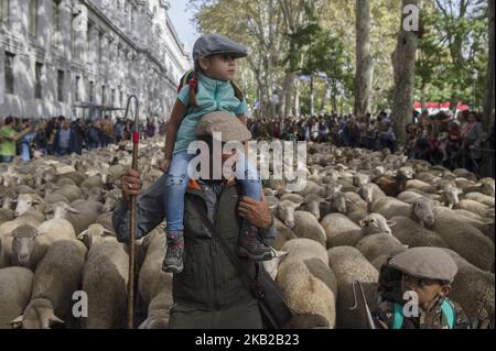 Les bergers guident le troupeau de moutons lors de la marche effectuée par les brebis à travers le centre de Madrid. Les bergers ont guidé des moutons dans les rues de Madrid pendant le festival de transhumance, qui est « une façon ancestrale de profiter des ressources naturelles favorisant le bien-être des animaux des chalets et de rechercher les régions avec les meilleurs pâturages de chaque saison ». Madrid 21 octobre 2018 à Madrid, Espagne. (Photo de Patricio Realpe/ChakanaNews/PRESSOUTH/NurPhoto) Banque D'Images