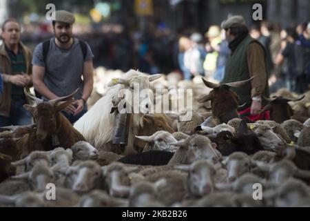 Une femme en costume traditionnel régional pendant la marche réalisée par les moutons à travers le centre de Madrid. Les bergers ont guidé des moutons dans les rues de Madrid pendant le festival de transhumance, qui est « une façon ancestrale de profiter des ressources naturelles favorisant le bien-être des animaux des chalets et de rechercher les régions avec les meilleurs pâturages de chaque saison ». Madrid 21 octobre 2018 à Madrid, Espagne. (Photo de Patricio Realpe/ChakanaNews/PRESSOUTH/NurPhoto) Banque D'Images