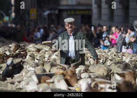 Un berger guide le troupeau de moutons pendant la marche effectuée par les moutons à travers le centre de Madrid. Les bergers ont guidé des moutons dans les rues de Madrid pendant le festival de transhumance, qui est « une façon ancestrale de profiter des ressources naturelles favorisant le bien-être des animaux des chalets et de rechercher les régions avec les meilleurs pâturages de chaque saison ». Madrid 21 octobre 2018 à Madrid, Espagne. (Photo de Patricio Realpe/ChakanaNews/PRESSOUTH/NurPhoto) Banque D'Images