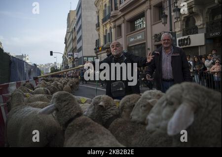 Les bergers guident le troupeau de moutons lors de la marche effectuée par les brebis à travers le centre de Madrid. Les bergers ont guidé des moutons dans les rues de Madrid pendant le festival de transhumance, qui est « une façon ancestrale de profiter des ressources naturelles favorisant le bien-être des animaux des chalets et de rechercher les régions avec les meilleurs pâturages de chaque saison ». Madrid 21 octobre 2018 à Madrid, Espagne. (Photo de Patricio Realpe/ChakanaNews/PRESSOUTH/NurPhoto) Banque D'Images