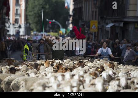 Les bergers guident le troupeau de moutons lors de la marche effectuée par les brebis à travers le centre de Madrid. Les bergers ont guidé des moutons dans les rues de Madrid pendant le festival de transhumance, qui est « une façon ancestrale de profiter des ressources naturelles favorisant le bien-être des animaux des chalets et de rechercher les régions avec les meilleurs pâturages de chaque saison ». Madrid 21 octobre 2018 à Madrid, Espagne. (Photo de Patricio Realpe/ChakanaNews/PRESSOUTH/NurPhoto) Banque D'Images