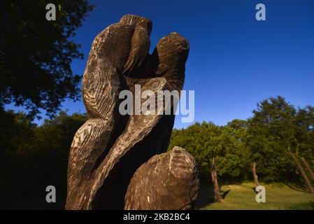 Des sculptures en bois sont photographiées à la forêt d'Epping, dans l'est de Londres, sur 22 octobre 2018. Les sculptures sont créées à partir de chênes abattus lors de la recréation d'une zone de pâturage en bois (photo d'Alberto Pezzali/NurPhoto) Banque D'Images