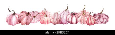 Aquarelle de citrouille composition, citrouilles florales, éléments de conception d'automne, arrangement d'automne de citrouilles roses. Illustration de récolte isolée Banque D'Images