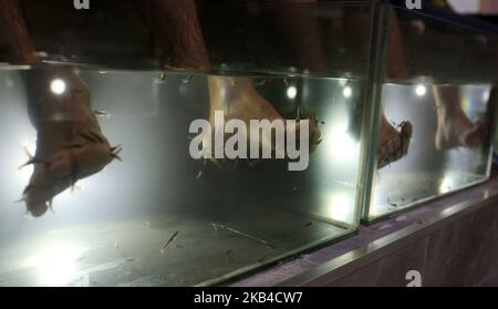 Les Palestiniens trempent leurs pieds dans un réservoir rempli de poissons dans un café de la ville de Gaza, en Palestine, sur 3 janvier 2019. Le chauffeur de café de Gaza a déclaré que son entreprise était en plein essor après le lancement du service de pédicure pour poissons dans la bande de Gaza assiégée. Une session de 30 minutes coûte environ $8 -- une somme énorme dans l'enclave côtière appauvrie. Mais des dizaines de personnes sont prêtes à payer le prix d'une fuite temporaire des conditions de vie difficiles à Gaza. (Photo de Majdi Fathi/NurPhoto) Banque D'Images