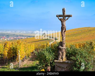 Vignobles aux couleurs de l'automne sur la colline de Turckheim - route des vins d'Alsace, France. Banque D'Images