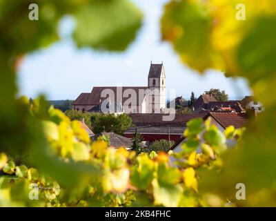 Vue à travers les feuilles d'automne sur les vignes en direction de l'église Saint-Nicolas à Orschwihr, Alsace, France Banque D'Images
