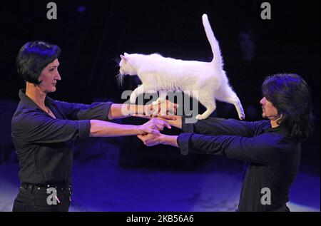 Un artiste interprète avec un chat lors du programme international « Noir et blanc, haut et bas » au Cirque national ukrainien à Kiev, Ukraine, 01 février 2019. Le programme de cirque des artistes d'un cirque moderne d'Allemagne pour la première fois se déroulera en Ukraine, et se tiendra jusqu'au 21 avril 2019. (Photo par STR/NurPhoto) Banque D'Images