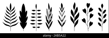 Ensemble d'icônes de silhouette noire de feuille de branche. Feuillage de l'arbre à feuilles caduques à base de plantes de contour. Spring sprout fleuri abstrait. Feuilles naturelles écologiques plates de palmier tropical, rowan, eucalyptus d'érable Illustration de Vecteur