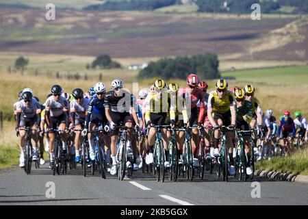 Équipe Jumbo - Visma mène le peloton jusqu'à Hardens Hill, le premier roi de la montagne Cat 2 escalade pendant la phase 2 de l'OVO Energy Tour de Grande-Bretagne 16th, La scène dure 165,9km avec une altitude de 1380 mètres et commence et se termine à Kelso le 8 septembre 2019 à Kelso, aux frontières écossaises, au Royaume-Uni. (Photo par Ewan Bootman/NurPhoto) Banque D'Images