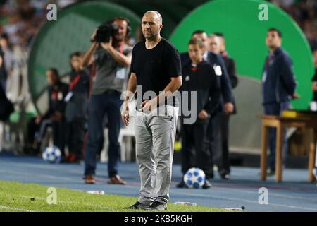 Djamel Belmadi, entraîneur de l'équipe nationale algérienne, regarde pendant un match de football amical entre l'Algérie et le Bénin, sur 09 septembre 2019 au 'Stade 5 juillet' à Alger, Algérie. (Photo de Billal Bensalem/NurPhoto) Banque D'Images