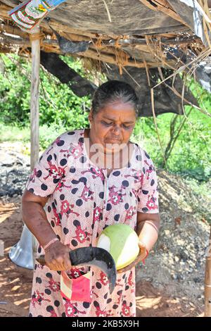 Une femme tamoule coupe des noix de coco pour servir l'eau de coco aux fidèles catholiques du Tamil le long du bord de la route à Thanjavur (Tanjore), Tamil Nadu, Inde sur 27 août 2017. Les pèlerins sont sur la route de l'église Anna Valankannai (Basilique de notre-Dame de la bonne santé) dans la ville de Velankanni pour célébrer la fête annuelle de 11 jours de notre-Dame de la Santé, populairement appelé 'Annai Velankanni Matha' et la 'Lourdes de l'est'. Les pèlerins marchent pendant 17 jours voyageant plus de 20km pour atteindre l'église pour le festival annuel. (Photo de Creative Touch Imaging Ltd./NurPhoto) Banque D'Images