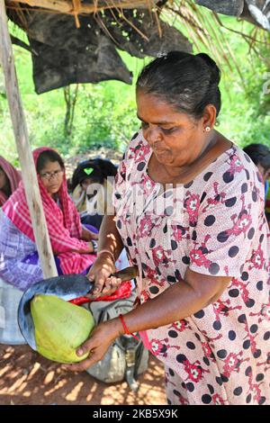 Une femme tamoule coupe des noix de coco pour servir l'eau de coco aux fidèles catholiques du Tamil le long du bord de la route à Thanjavur (Tanjore), Tamil Nadu, Inde sur 27 août 2017. Les pèlerins sont sur la route de l'église Anna Valankannai (Basilique de notre-Dame de la bonne santé) dans la ville de Velankanni pour célébrer la fête annuelle de 11 jours de notre-Dame de la Santé, populairement appelé 'Annai Velankanni Matha' et la 'Lourdes de l'est'. Les pèlerins marchent pendant 17 jours voyageant plus de 20km pour atteindre l'église pour le festival annuel. (Photo de Creative Touch Imaging Ltd./NurPhoto) Banque D'Images