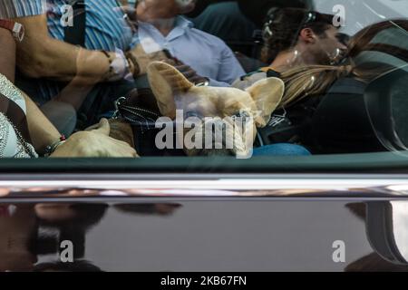 Invité à l'extérieur de Prada à la Fashion week de Milan, Milan, Italie, sur 18 septembre 2019 (photo par Mairo Cinquetti/NurPhoto) Banque D'Images