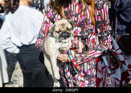 Invité vu à l'extérieur du spectacle Etro pendant la semaine de la mode de Milan Printemps/été 2020 sur 20 septembre 2019 à Milan, Italie. (Photo par Mairo Cinquetti/NurPhoto) Banque D'Images