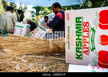 Les travailleurs de jour chargent les pommes Kashmiri dans des boîtes dans une ferme située à l'extérieur de Srinagar, au Cachemire, en Inde, le 17 septembre 2018. (Photo de John Fredricks/NurPhoto) Banque D'Images