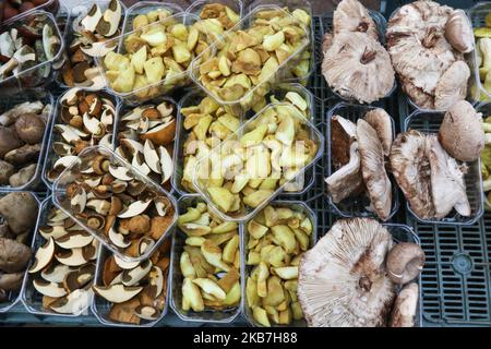 Le 4 octobre 2019, le marché vert de Sopot, en Pologne, a vu des champignons de bois avec des petits pains (Boletus edulis), des champignons parasol (Macrolepiota procera), des bolétes de baie (Imleria badia) et d'autres champignons. Le climat favorable a causé des conditions favorables à la croissance d'un grand nombre de champignons comestibles (photo de Michal Fludra/NurPhoto) Banque D'Images