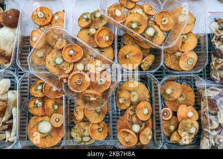 Le vendeur de champignons avec Lactarius deliciosus (calotte de safran et champignon de pin rouge) est vu sur le marché vert à Sopot, en Pologne le 4 octobre 2019 ces derniers jours, les forêts polonaises ont été essaiant avec des cueilleurs de champignons. Le climat favorable a causé des conditions favorables à la croissance d'un grand nombre de champignons comestibles (photo de Michal Fludra/NurPhoto) Banque D'Images