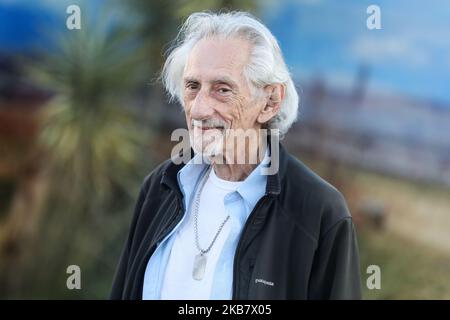 WESTWOOD, LOS ANGELES, CALIFORNIE, États-Unis - OCTOBRE 07 : Larry Hankin arrive à la première de Netflix 'El Camino: A Breaking Bad Movie', tenue au Regency Village Theatre sur 7 octobre 2019 à Westwood, Los Angeles, Californie, États-Unis. (Photo par Xavier Collin/image Press Agency/NurPhoto) Banque D'Images