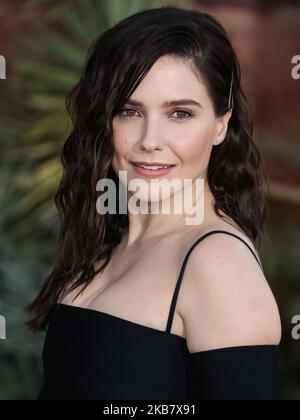 WESTWOOD, LOS ANGELES, CALIFORNIE, États-Unis - OCTOBRE 07 : l'actrice Sophia Bush arrive à la première de Netflix 'El Camino: A Breaking Bad Movie', tenue au Regency Village Theatre sur 7 octobre 2019 à Westwood, Los Angeles, Californie, États-Unis. (Photo par Xavier Collin/image Press Agency/NurPhoto) Banque D'Images