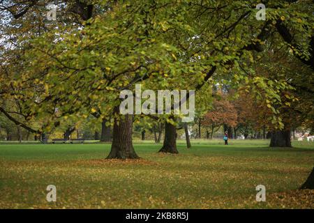 Une femme se promène au parc Rosenstein de Stuttgart, en Allemagne, sur 20 octobre 2019 (photo d'AB/NurPhoto) Banque D'Images