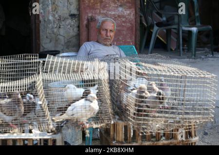 Un vendeur palestinien vend des pigeons sur le marché populaire de Fras à Gaza, sur 22 octobre 2019. (Photo de Majdi Fathi/NurPhoto) Banque D'Images