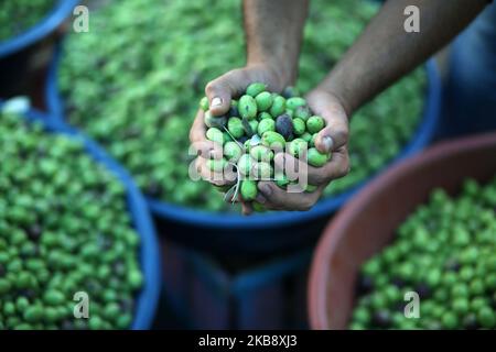 Un vendeur palestinien vend des olives sur le marché populaire de Fras à Gaza, sur 22 octobre 2019. (Photo de Majdi Fathi/NurPhoto) Banque D'Images