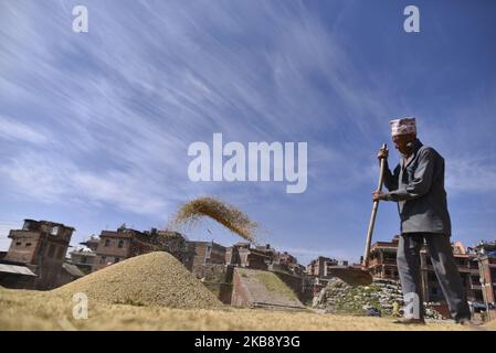 Un fermier népalais grains de riz bask dans la lumière du soleil en utilisant une méthode traditionnelle à Bhaktapur, Népal mardi, 22 octobre 2019. L'agriculture reste une activité économique importante pour le pays sans littoral, le blé et le riz étant les principales cultures vivrières. (Photo de Narayan Maharajan/NurPhoto) Banque D'Images