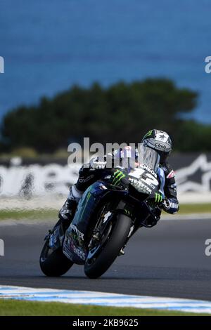 Maverick Vinales of Spain fait du vélo Monster Energy Yamaha MotoGP lors de l'entraînement pour le MotoGP australien au circuit du Grand Prix de Phillip Island sur 25 octobre 2019 à Phillip Island, en Australie (photo de Morgan Hancock/NurPhoto) Banque D'Images