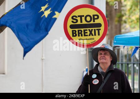 Des manifestants pro-UE protestent devant les chambres du Parlement le 28 octobre 2019 à Londres, en Angleterre. Aujourd'hui, les députés débattent et votent sur la motion d'un gouvernement demandant la tenue d'élections générales le 12 décembre 2019. L'Union européenne a accordé une épension de Brexit jusqu'au 31 janvier 2020 avec la possibilité pour le Royaume-Uni de partir plus tôt si un accord est ratifié. (Photo de Wiktor Szymanowicz/NurPhoto) Banque D'Images