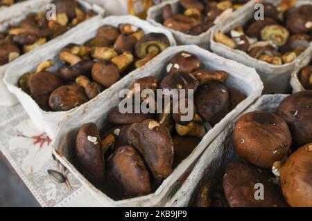 Un vendeur local de champignons avec des paniers pleins de champignons Bay bolete (Imleria badia) vus sur un marché vert à Rzeszow. En Pologne, l'automne est destiné aux champignons, et chaque année, de septembre à novembre, la cueillette des champignons devient un passe-temps national. Cette année, l'éclosion de champignons extrêmement abondante a causé la visite des forêts de Podkarpackie par des cueilleurs de champignons de Roumanie au cours des dernières semaines. Mercredi, 30 octobre 2019, à Rzeszow, Pologne. (Photo par Artur Widak/NurPhoto) Banque D'Images