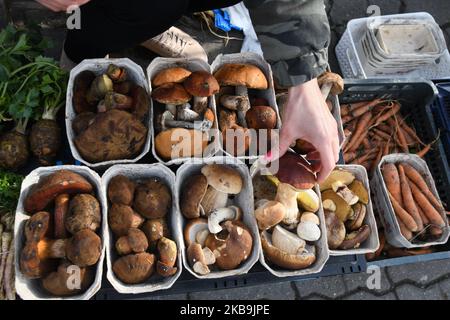 Un vendeur local de champignons avec des paniers de boléte de baie (Imleria badia), petits pains de Penny, Boletus, boléte de tige en pointillés (Neoburoletus luridiformis), Suillus (champignons basidiomycètes) et d'autres champignons, vu sur un marché vert à Rzeszow. En Pologne, l'automne est destiné aux champignons, et chaque année, de septembre à novembre, la cueillette des champignons devient un passe-temps national. Cette année, l'éclosion de champignons extrêmement abondante a causé la visite des forêts de Podkarpackie par des cueilleurs de champignons de Roumanie au cours des dernières semaines. Mercredi, 30 octobre 2019, à Rzeszow, Pologne. (Photo par Artur Widak/NurPhoto) Banque D'Images