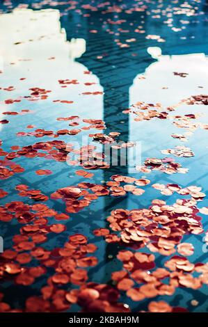 Des fleurs de pavot se trouvent dans la fontaine de Trafalgar Square le jour du souvenir, le 11 novembre 2016, à Londres, au Royaume-Uni. Le jour du souvenir est un jour commémoratif observé dans les États membres du Commonwealth depuis la fin de la première Guerre mondiale pour rappeler les membres de leurs forces armées qui sont morts dans l'exercice de leurs fonctions. (Photo de Robin Pope/NurPhoto) Banque D'Images