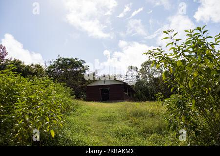 Maripasoula, France, 30 juin 2019. La nouvelle église dans le village d'Ipokan Eute au milieu du territoire de Wayana. Il a été financé en partie par le secours catholique et le Père Herve Cleze Moutaleno, missionnaire congolais, y célèbre régulièrement la messe. (Photo par Emeric Fohlen/NurPhoto) Banque D'Images