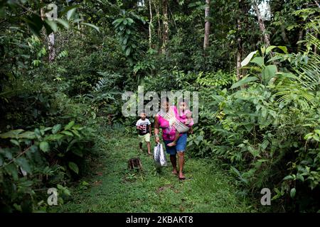 Maripasoula, France, 30 juin 2019. Wayana Amerindians marchent dans la forêt amazonienne. (Photo par Emeric Fohlen/NurPhoto) Banque D'Images