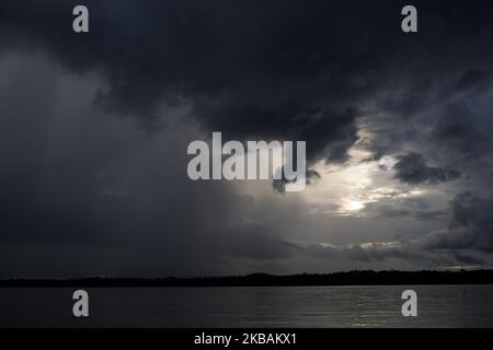 Saint-Laurent-du-Maroni, France, 3 juillet 2019. La végétation de la forêt amazonienne de la rivière Maroni, non loin de Saint-Laurent. (Photo par Emeric Fohlen/NurPhoto) Banque D'Images