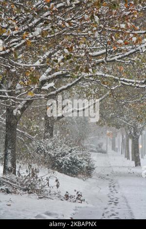 La tempête de neige hivernale a frappé Toronto, Ontario, Canada, on 11 novembre 2019. La tempête devrait tomber entre 10-15 centimètres de neige dans la région du Grand Toronto. (Photo de Creative Touch Imaging Ltd./NurPhoto) Banque D'Images