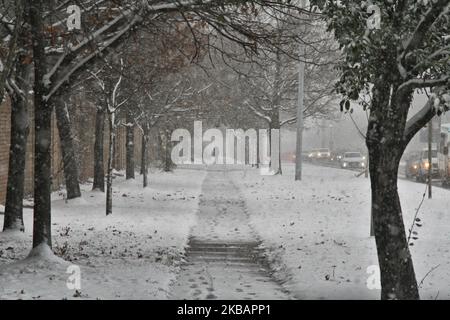 La tempête de neige hivernale a frappé Toronto, Ontario, Canada, on 11 novembre 2019. La tempête devrait tomber entre 10-15 centimètres de neige dans la région du Grand Toronto. (Photo de Creative Touch Imaging Ltd./NurPhoto) Banque D'Images