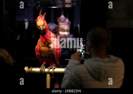 Un visiteur assiste à l'ouverture de Harry Potter : l'exposition à Lisbonne, Portugal, sur 16 novembre 2019. Les accessoires, costumes et décors de films originaux des films Harry Potter seront exposés de 16 novembre à 8 avril 2020 à Lisbonne. (Photo par Pedro Fiúza/NurPhoto) Banque D'Images