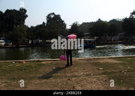 Un vendeur de bonbons de coton est vu à la recherche de clients près de la piscine peu profonde à Rajpath sur 16 novembre 2019 à New Delhi, Inde. (Photo de Mayank Makhija/NurPhoto) Banque D'Images